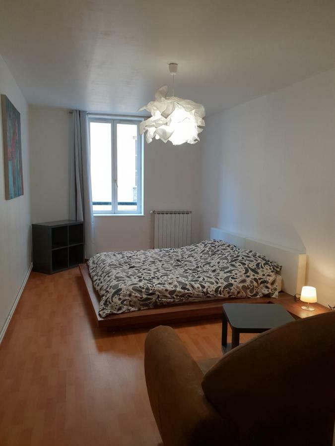 Grand Appartement En Centre Ville Мец Екстериор снимка